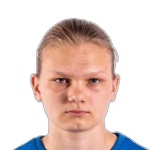 К. Лиллемец