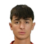Д. Павеси