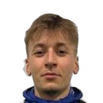 Е. Косински