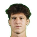 М. Симунек