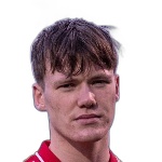 ДЖ. Палссон