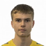 Л. Хеймиссон