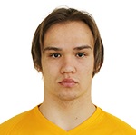 Д. Пидручнии