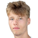 Н. Стейнер