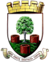 Веллс Сити