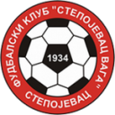 Степоджевак Вага