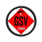 Гоппингер SV