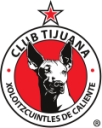 Тиюана W