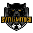 Тиллмицч