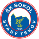 Сокол Стари Теков