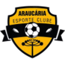 Араукариа U20