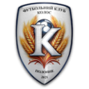 Полонне