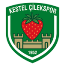 Кестел Силек