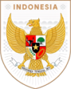 Индонесиа U19 W