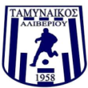 Таминайкос Аливериу