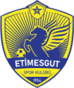 Етимесгут SK