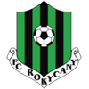 Рокикани