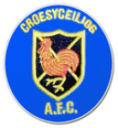 Кроесисейлиог AFC