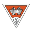 SV Иннсбрук